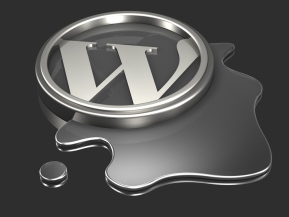 3d illustration of a silver Wordpress logo sitting in a puddle of silver liquid on a gray reflective surface